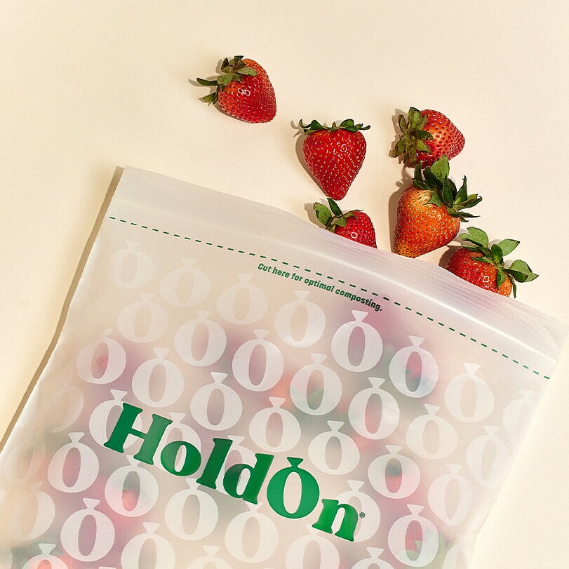 HoldOn Compostable Zipseal Sandwich Bags